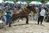 馬力大会