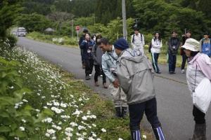 千葉家周辺の植生を調査