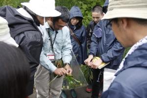 植物の種類を調べる