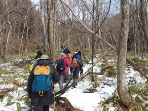 雪が少なかった裏山