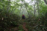 早池峰　古の登山道